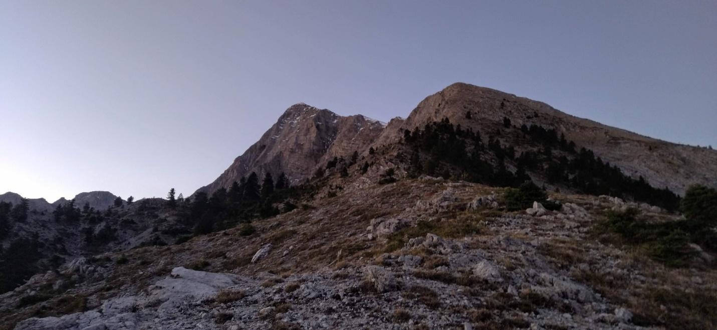 A mountain with trees on it

Description automatically generated